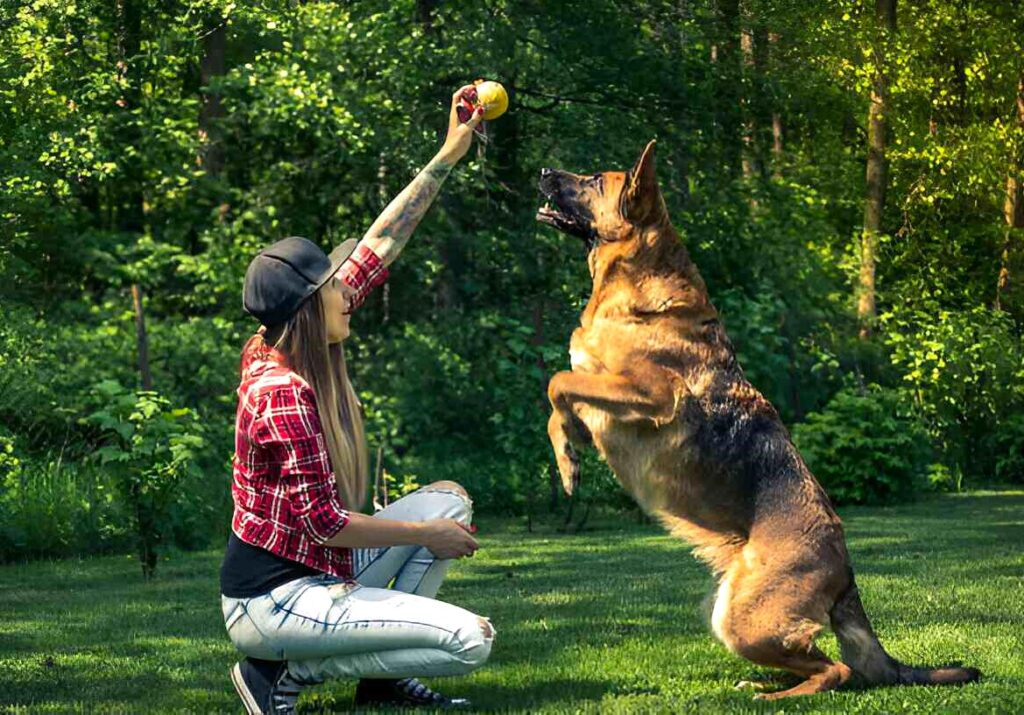 A woman joyfully interacts with her dog, showcasing the bond between them through playful gestures and expressions.